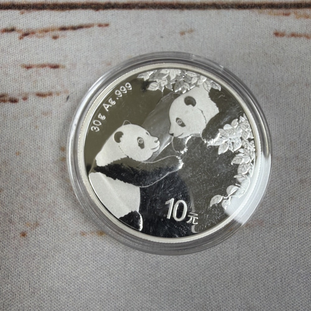 2023 China 30 Gram 10 Yuan Silver Panda Coin .999 Fine Bullion BU Direct Fit Cap